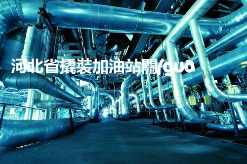 河北省撬裝加油站關(guān)鍵技術(shù)突破！化工廠拆除工程的新方法探索？